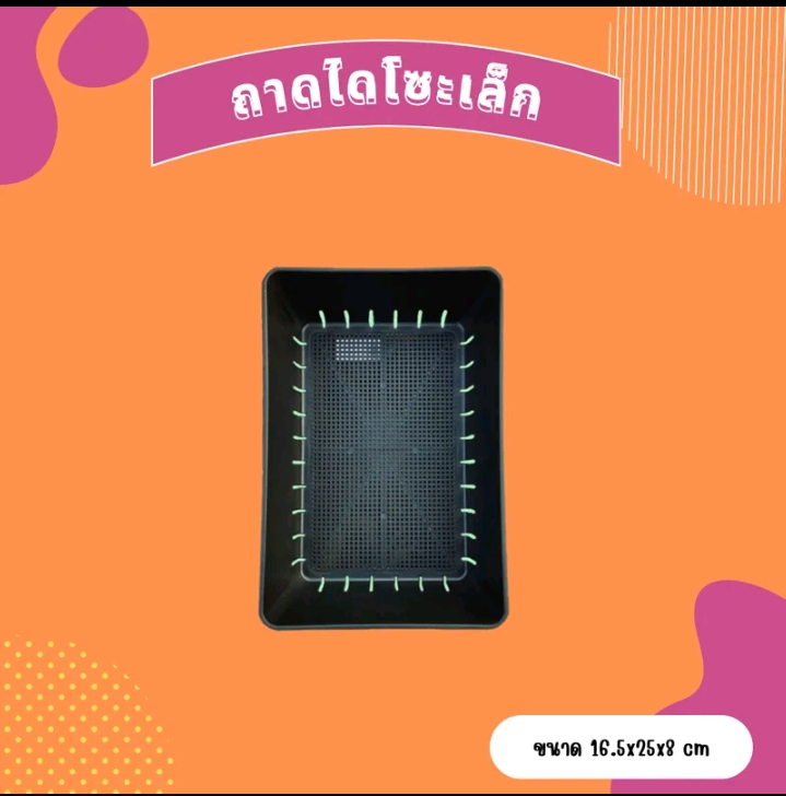ถาดไดโซะ ถาดปลูกต้นไม้ กล่องอบต้นไม้เร่งรากอบรากเซตพร้อมปลูก ถาดไดโซะเล็ก(รับ10200แต้ม)