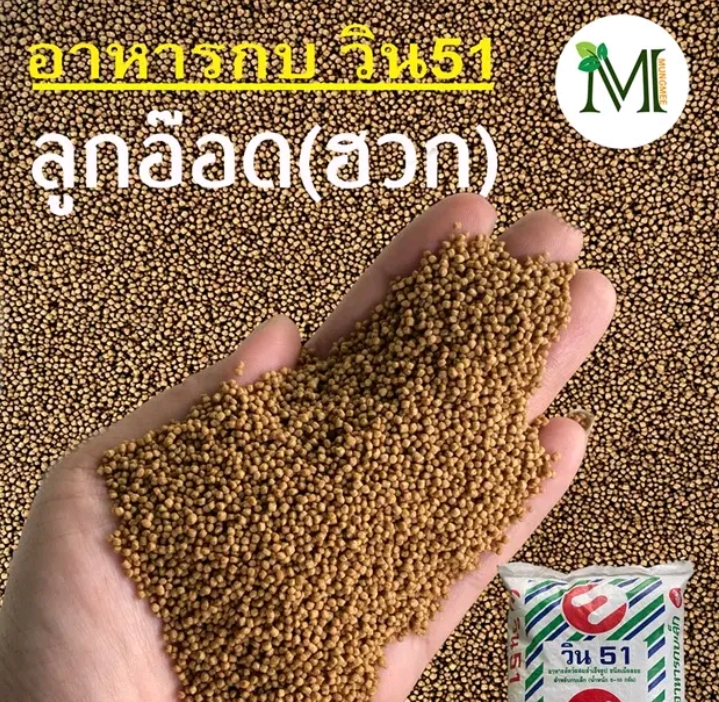 แอ๊คโค่ฟีด อาหารกบ วิน51ลูกอ๊อด(ฮวก)1กก.(รับ6,750แต้ม)
